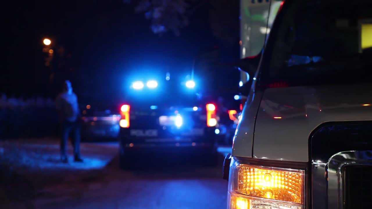 Police lights at a roadside scene at night